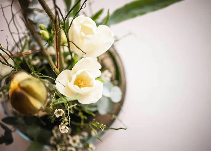 فندق بيلفيدير 4*